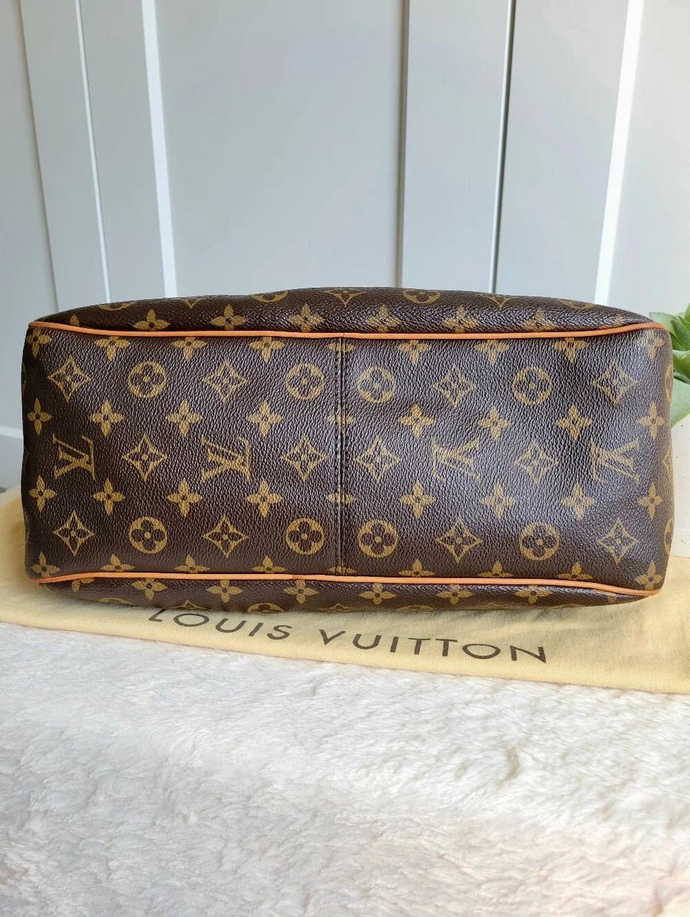 Louis Vuitton DELIGHTFUL PM Hobo Shoulder Bag Monogram
